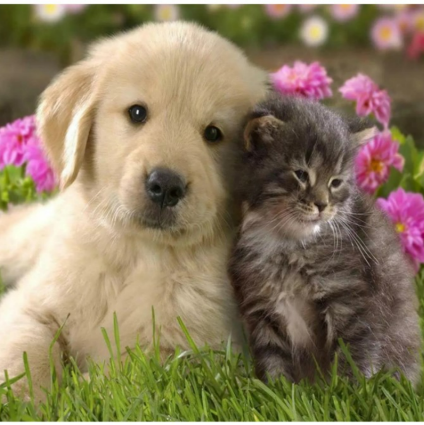 88fc0aaa844c65d56161ff5d0cd822b7 88fc0aaa844c65d56161ff5d0cd822b7